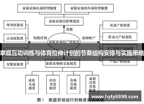 家庭互动训练与体育拉伸计划的节奏结构安排与实施策略
